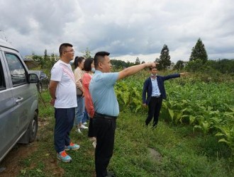 “近零碳”示范園區(qū)緣何落地難？