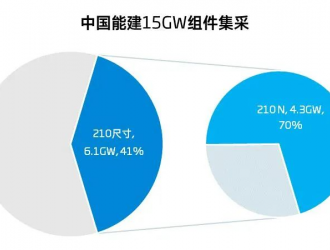 4.3GW！超過20家企業(yè)競逐210 N組件投標(biāo)